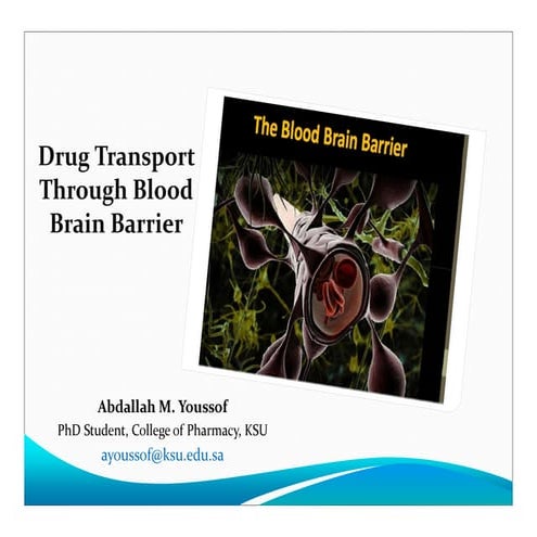 Drug transport through the BBB