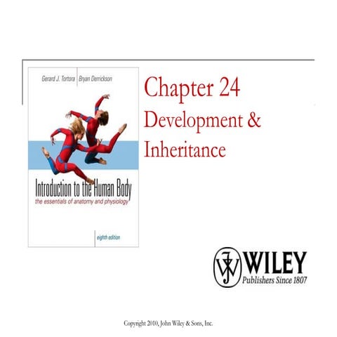 Lecture 4 development & inheritance | PPT | Pregnancy | Reproductive Health