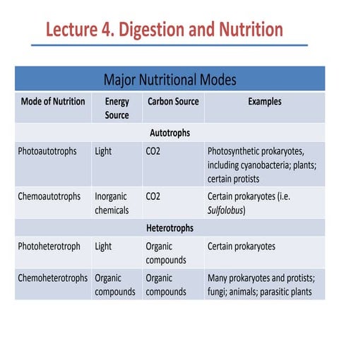 Lecture 4 digestion and nutrition 2nd sem 2008-2009