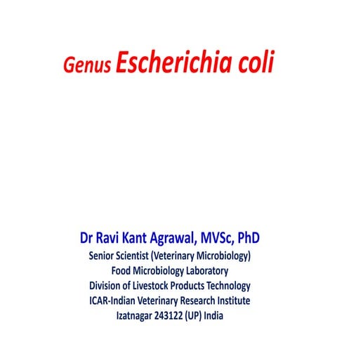 Genus Escherichia coli