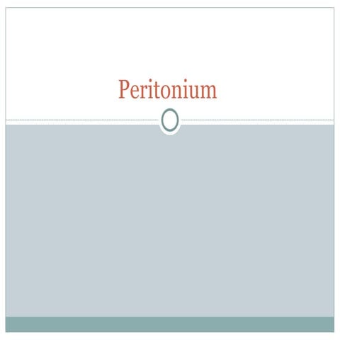 lecture 4 ANATOMY OF esophagus-stomach.ppt