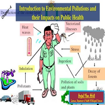 Environmental Problems (Local, Regional, and Global Levels) | PPTX