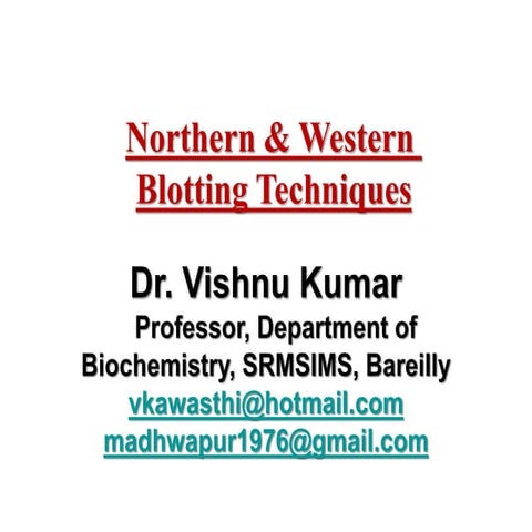 Lecture 4 northern and western blotting  2