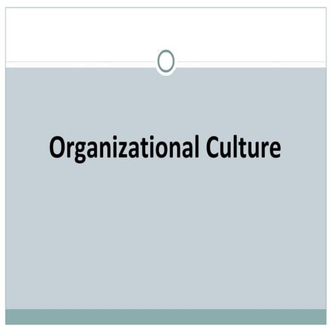 Lecture 4 organizational culture
