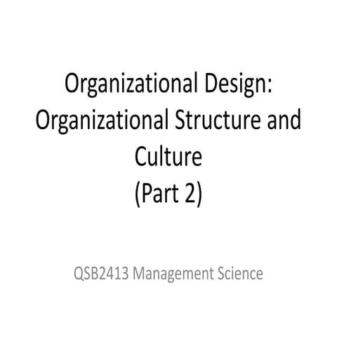 MS Lecture 4 org structure and culture part 2