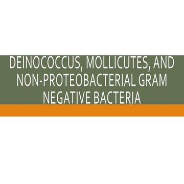 Lecture 534454554444444444444444444444444444444.pptx