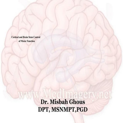 lecture 5.ppt neuro science ppt presenta