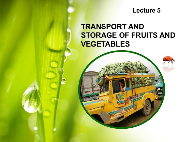 Lecture 5 Transport and Storage of Fruits and Vegetables