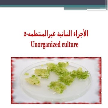 Lecture 11111111111111111111111111111115 472 bot_0.pptx