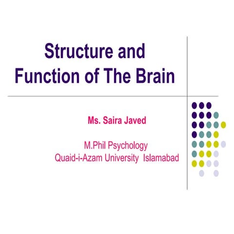 Neurological Basis of Behavior: Structure of brain and functions | PPT