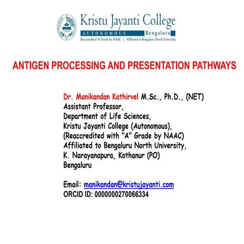 Lecture on Antigen processing and presentation pathways