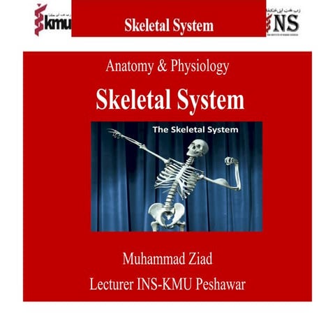 Bscn chapter number 5 skeletal system BS