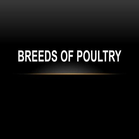 Lecture 5  breeds of poultry