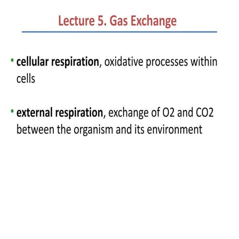 Lecture 5 gas exchange