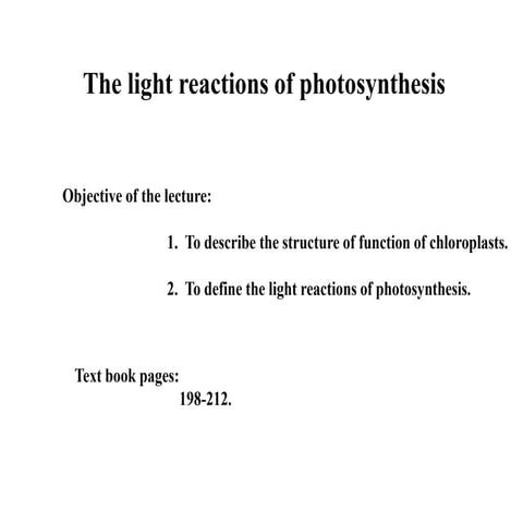 light reaction of photosynthesis (botany)