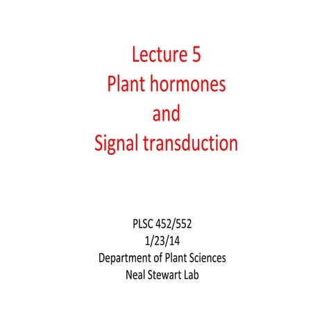 Lecture 5  plant hormones 2014