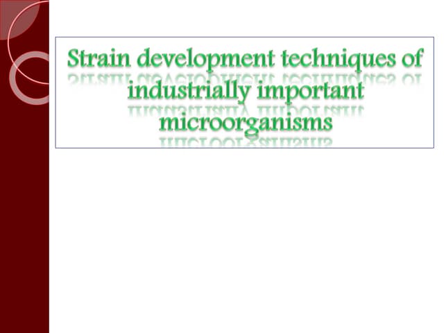 Strain development techniques of industrially important microorganisms