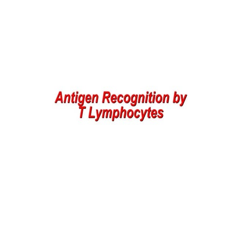 Antigen Recognition 