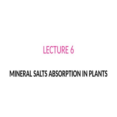 Mechanism of nutrient uptake in plants | PPTX