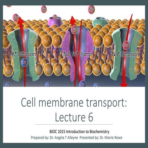 As level biology cell membrane chapter notes | PPT