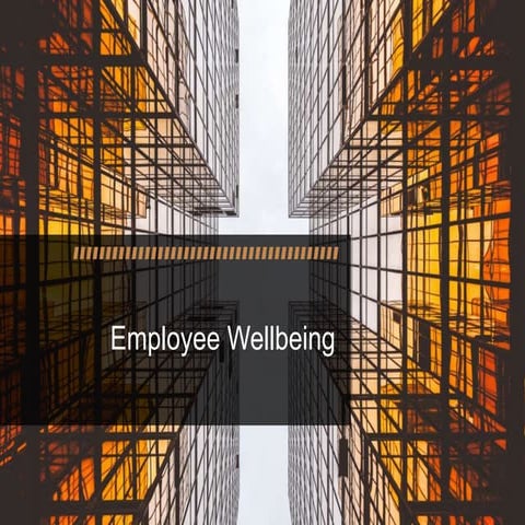 Intro to HRM Lecture 6 - Employee Wellbeing