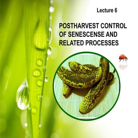 Lecture 6: Postharvest Control of Senescence and Related Processes