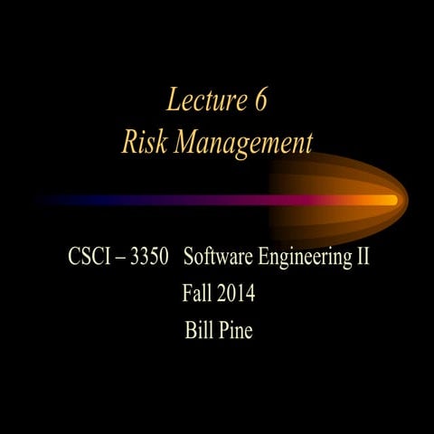 Lecture 6 - Risk Management.pptx
