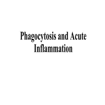 Immunology lecture 6 Phagocytosis.pdf