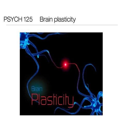 Lecture6 psych125 bunge