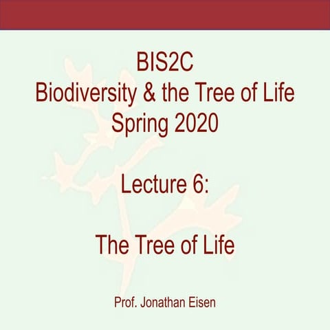 BIS2C_2020. Lecture 6. The Tree of Life. 