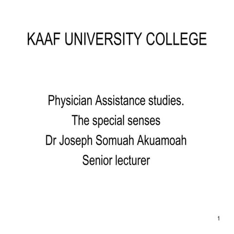 lecture 6 special senses.ppt