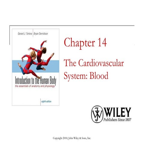 Lecture 6 the cardiovascular system blood