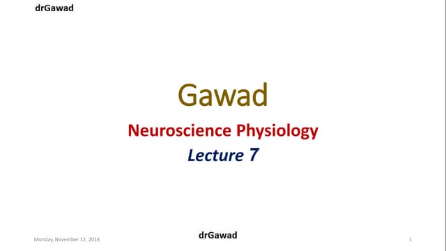 Lecture+7 | PPT