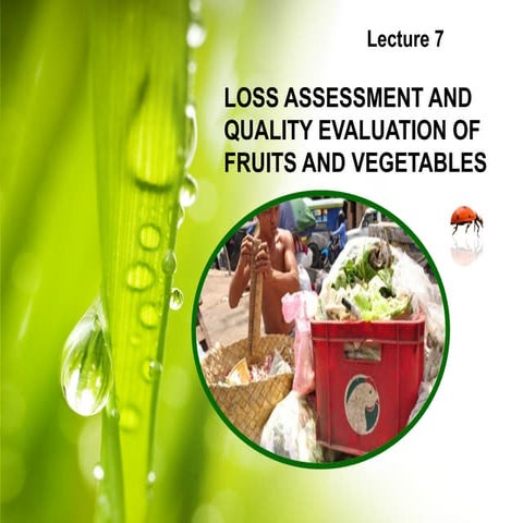 Lecture 7: Loss Assessment and Quality Evaluation