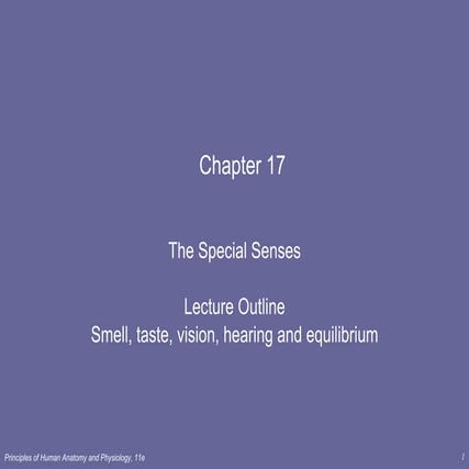 Lecture 7   special sense