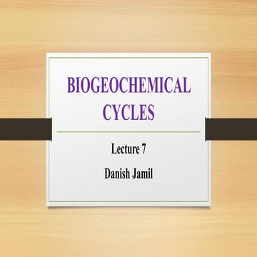 Understanding Energy Flow and Biogeochemical Cycles in Ecosystems | PDF