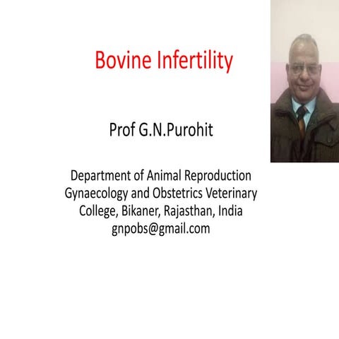 Lecture 7 Bovine infertility