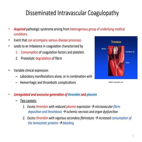 Lecture 7, fall 2014