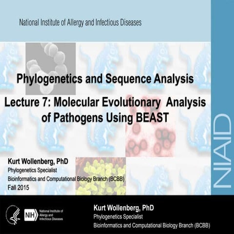 Pathogen phylogenetics using BEAST