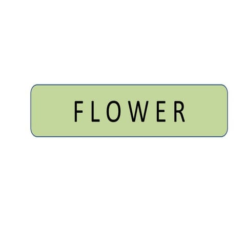 Morphology of flower | PPTX