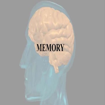 Memory and its effect and side effects on people