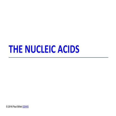 lecture 7 Nucleic Acids.pptx