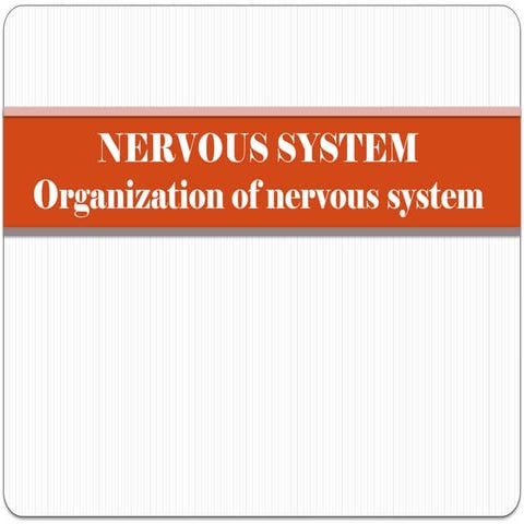Lecture# 7 Organization of NS.pptx for physical therapy