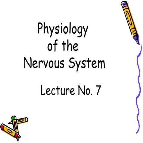 Lecture 7 physiology of the nervous system