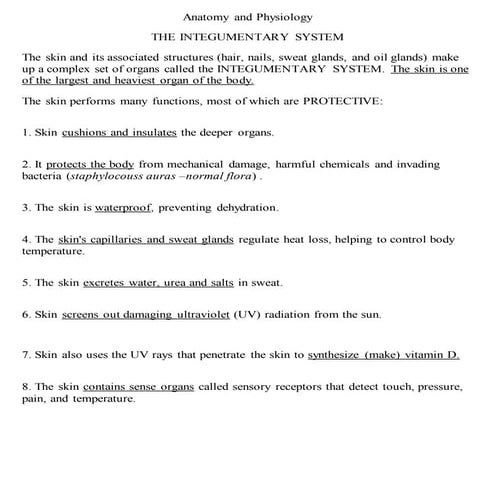 Lecture 7 the integumentary system