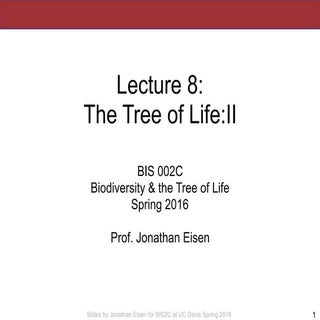 BiS2C: Lecture 8: The Tree of Life II