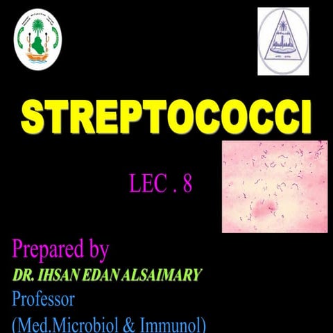  streptococci  dr . ihsan alsaimary