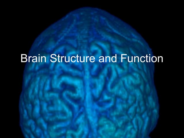 Lecture 8 Brain Structure Ppt Lecture 8 Brain Structure Ppt