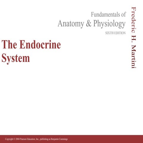 Lecture 8 endocrine_system