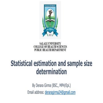 Statistical estimation and sample size determination